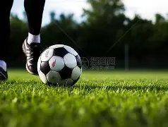 揭秘,孔萨揭秘,凯恩的球队,欧亿体育官网,欧亿体育平台,欧亿体育链接,欧亿体育官方